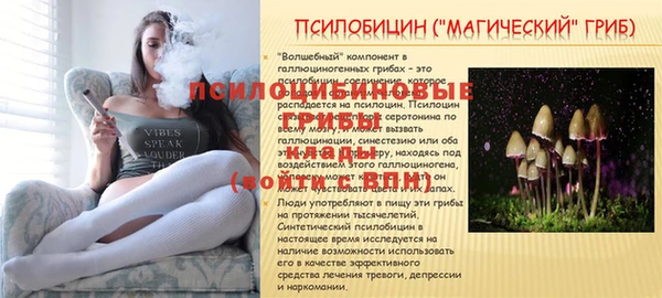 spice Арсеньев