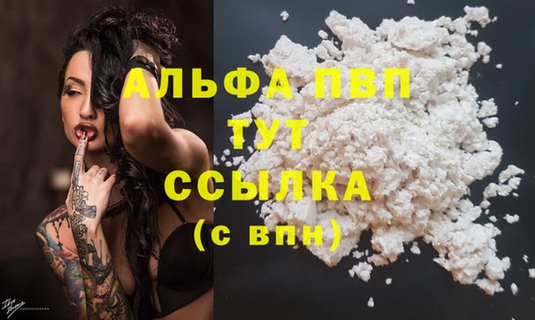 spice Арсеньев