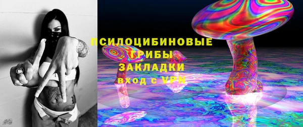 spice Арсеньев