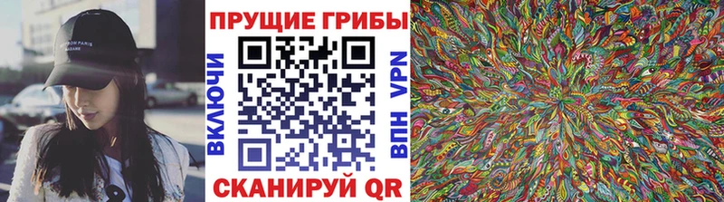 купить наркотики сайты Суджа Псилоцибиновые грибы Magic Shrooms